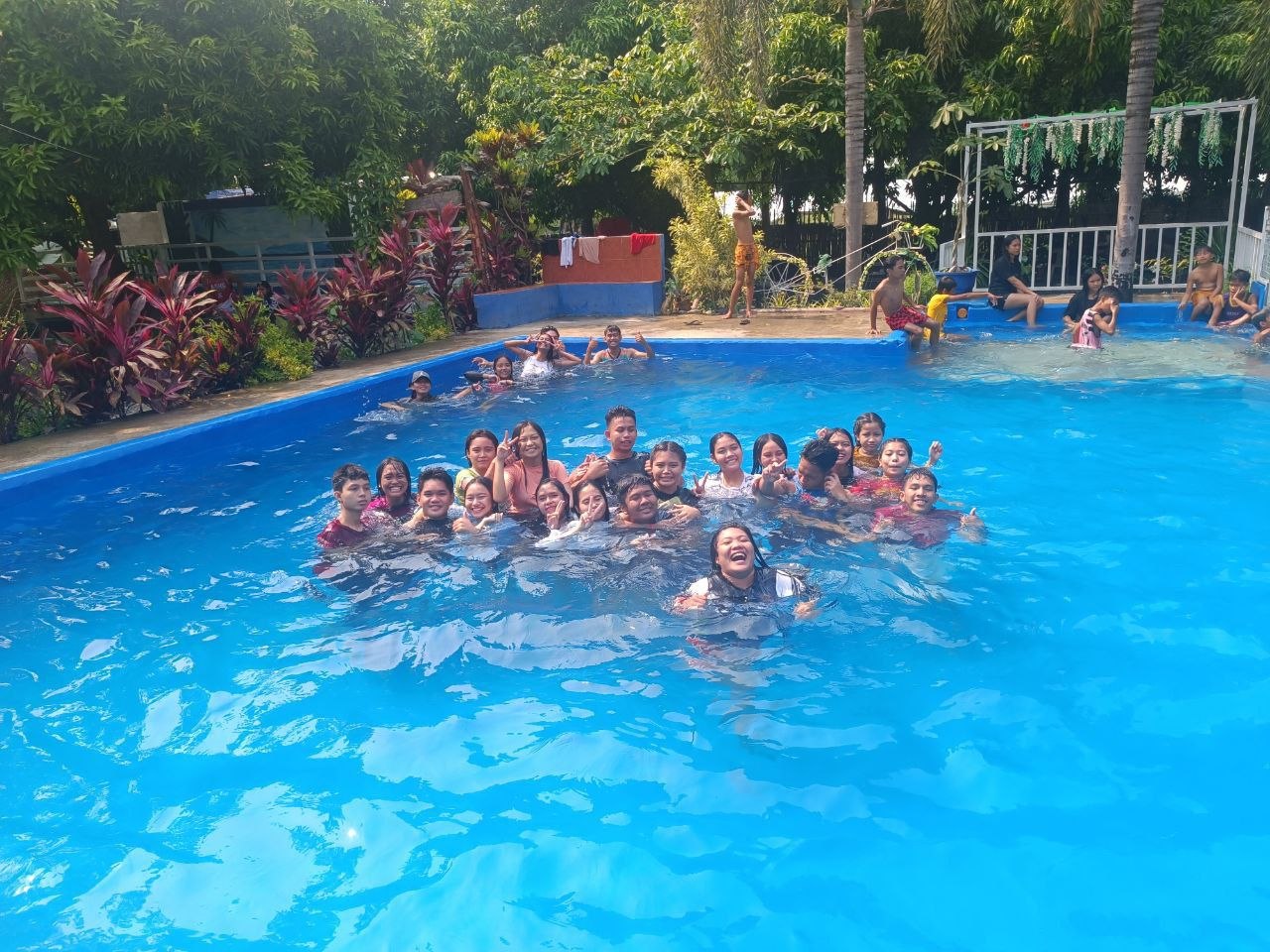 Swimming with Friends